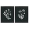 Stupell Industries Black and White Flower Cluster 2 pc Framed Floater Canvas Wall Art Set Design by House Fenway